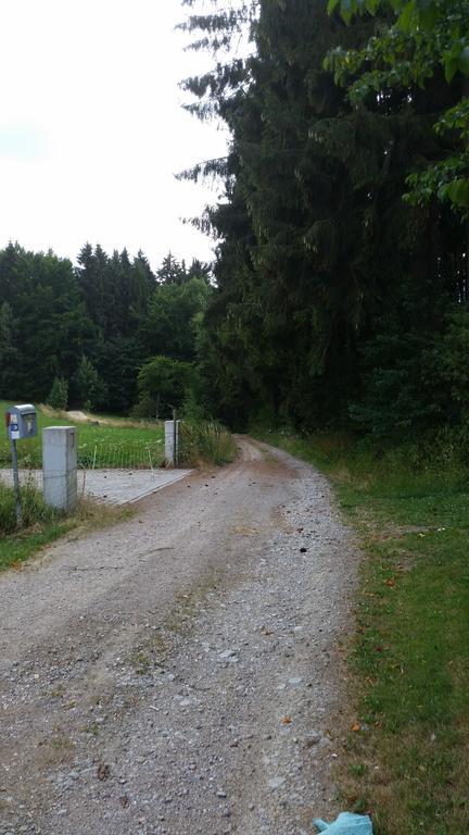 Waldgasthof - Hotel Schiederhof Wiesenfelden Exteriör bild
